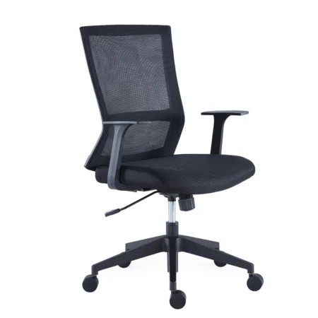 Iron Ergonomic Posture Chair for Coworking Centres and Commercial Offices in Black