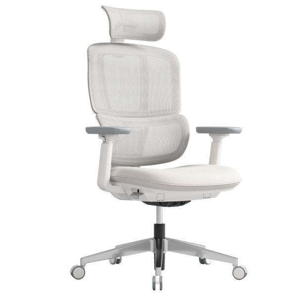 H2 Ergonomic High Back Task Chair in White With Headrest
