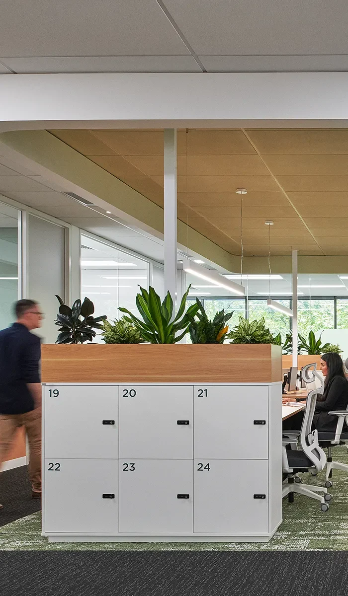 Storage Solutions for Coworking Spaces